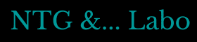 大阪堺市のWeb制作会社NTG&..Laboの会社ロゴ